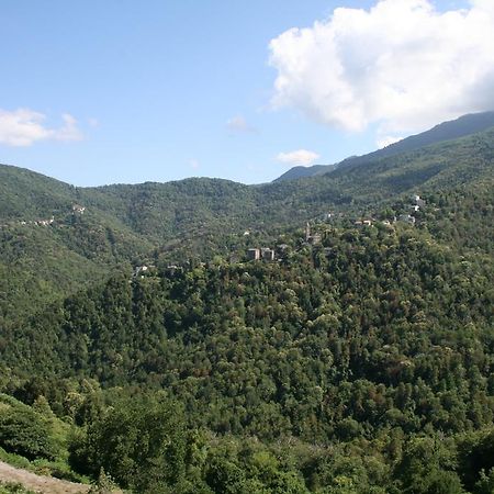 Le Refuge Orezza Piedicroce  Oda fotoğraf