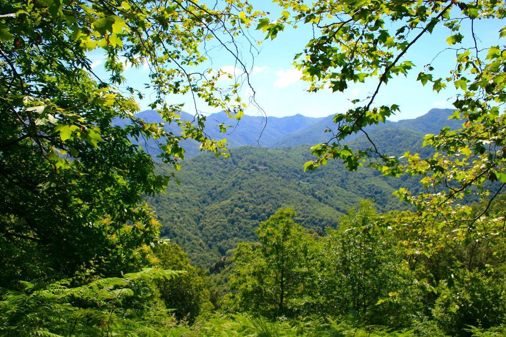 Le Refuge Orezza Piedicroce  Dış mekan fotoğraf