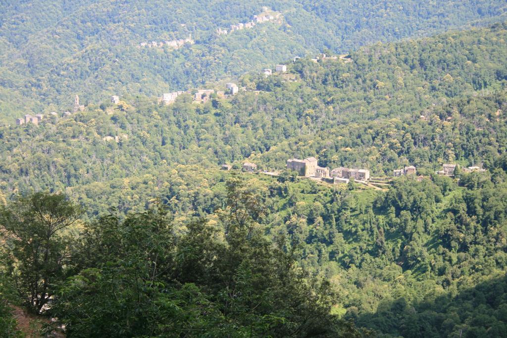 Le Refuge Orezza Piedicroce  Dış mekan fotoğraf