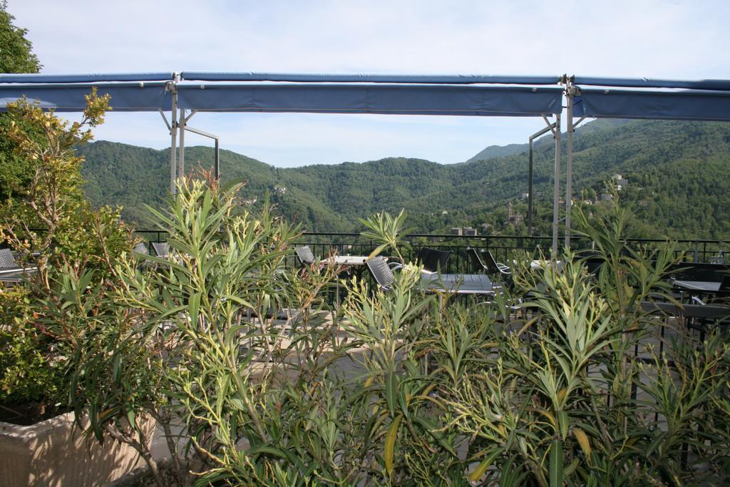 Le Refuge Orezza Piedicroce  Dış mekan fotoğraf